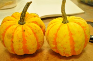 Two lovely carnival squash