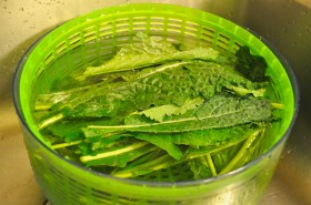 Washing the kale in the salad spinner