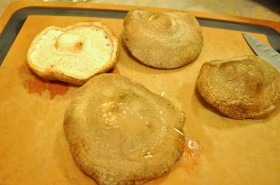 Four shitake mushrooms
