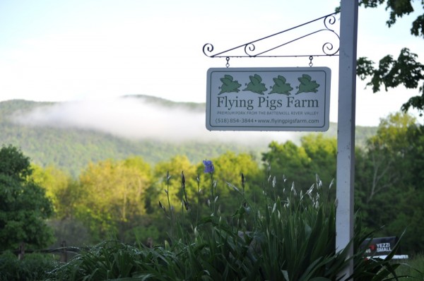 Flying Pigs Farm