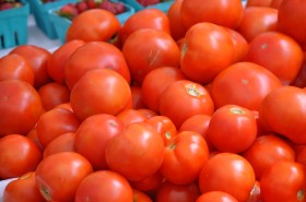 Jersey Tomatoes