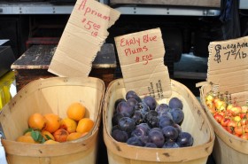 Early plums and apricots