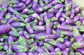 Fariytale eggplants