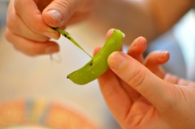 Removing the stem end and "spine" of the sugar snap pea