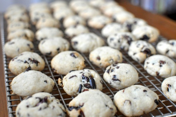 Baked and cooling Cran-Nib cookies